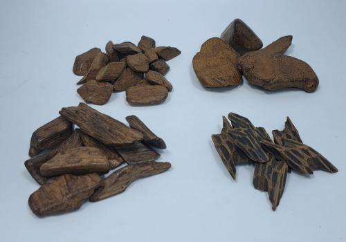 لمسات العود