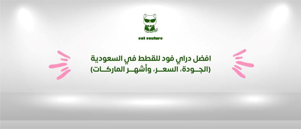 افضل دراي فود للقطط في السعودية | الجودة، السعر، وأشهر الماركات