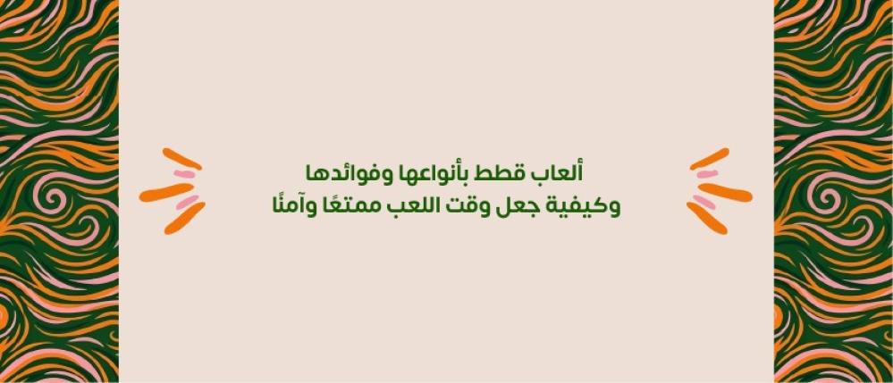 ألعاب قطط بأنواعها وفوائدها وكيفية جعل وقت اللعب ممتعًا وآمنًا