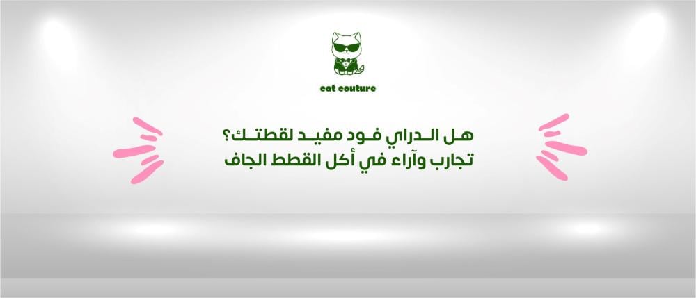 هل الدراي فود مفيد لقطتك؟ | تجارب وآراء في أكل القطط الجاف