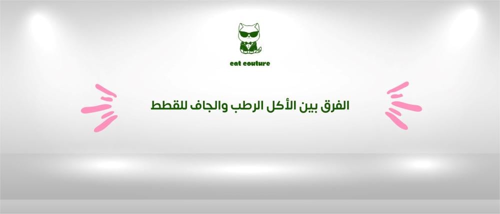 الفرق بين الأكل الرطب والجاف للقطط