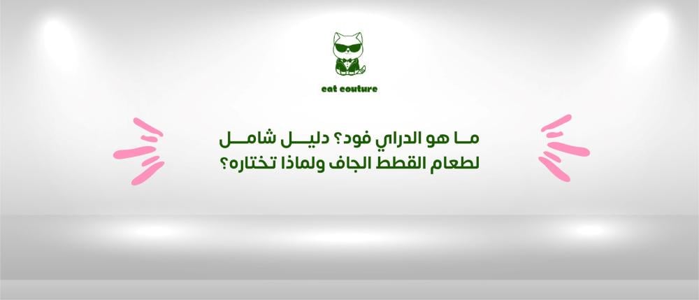 ما هو الدراي فود؟ دليل شامل لطعام القطط الجاف ولماذا تختاره؟