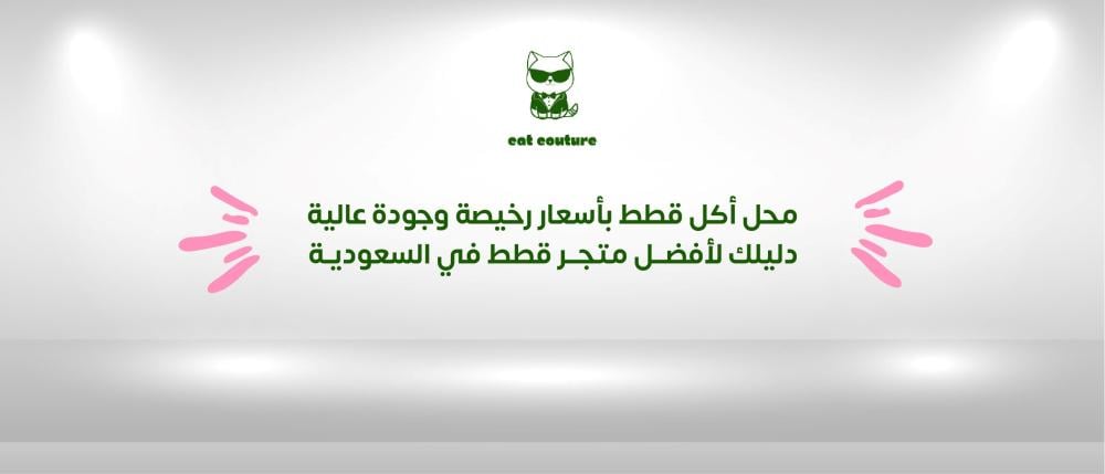 محل أكل قطط بأسعار رخيصة وجودة عالية دليلك لأفضل متجر قطط في السعودية