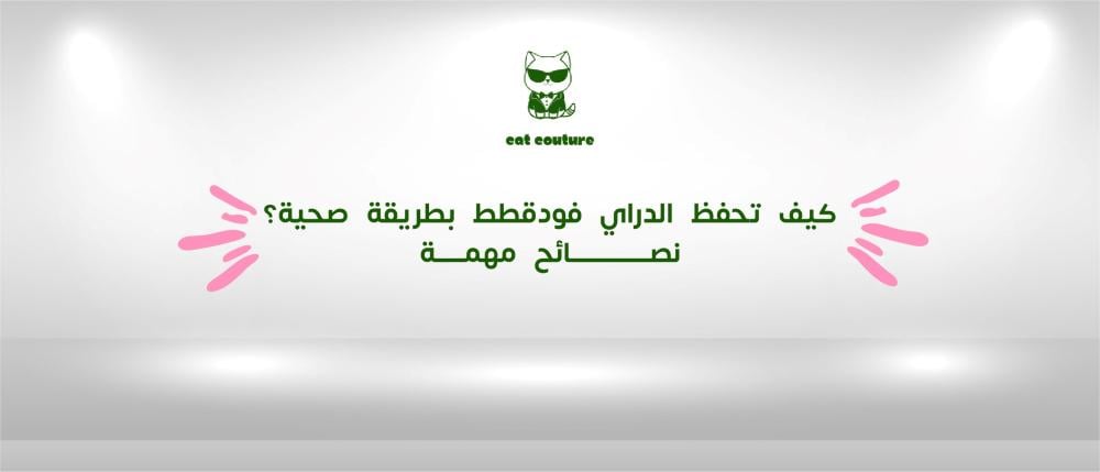 كيف تحفظ الدراي فودقطط بطريقة صحية؟ نصائح مهمة