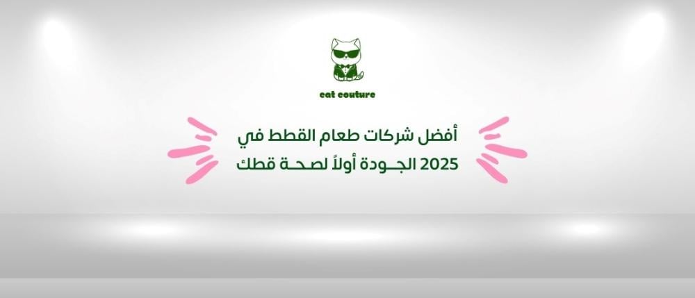 أفضل شركات طعام القطط في 2025 الجودة أولاً لصحة قطك أفضل شركات طعام القطط في 2025 الجودة أولاً لصحة قطك