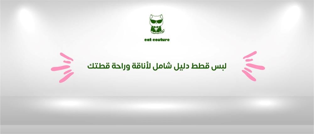 لبس قطط  دليل شامل لأناقة وراحة قطتك