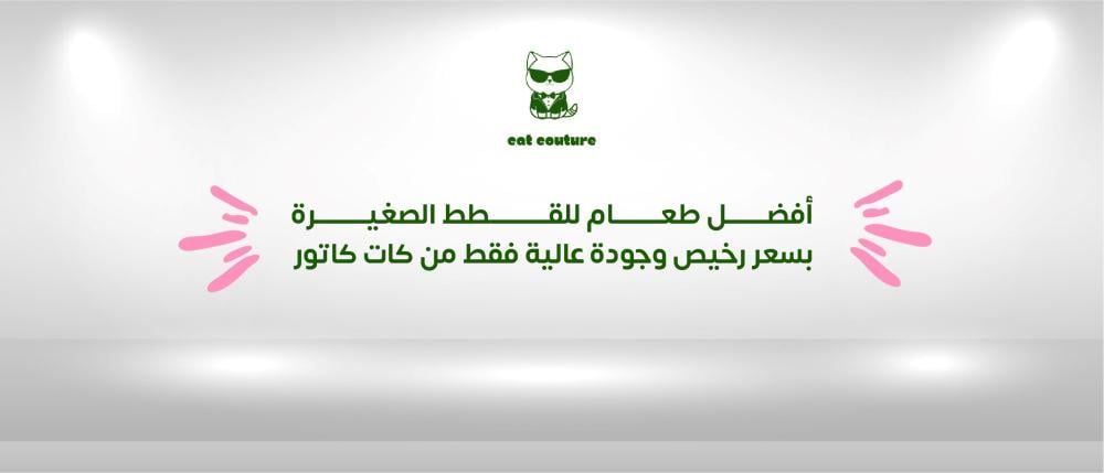 أفضل طعام للقطط صغيره بسعر رخيص وجودة عالية  فقط من كات كاتور