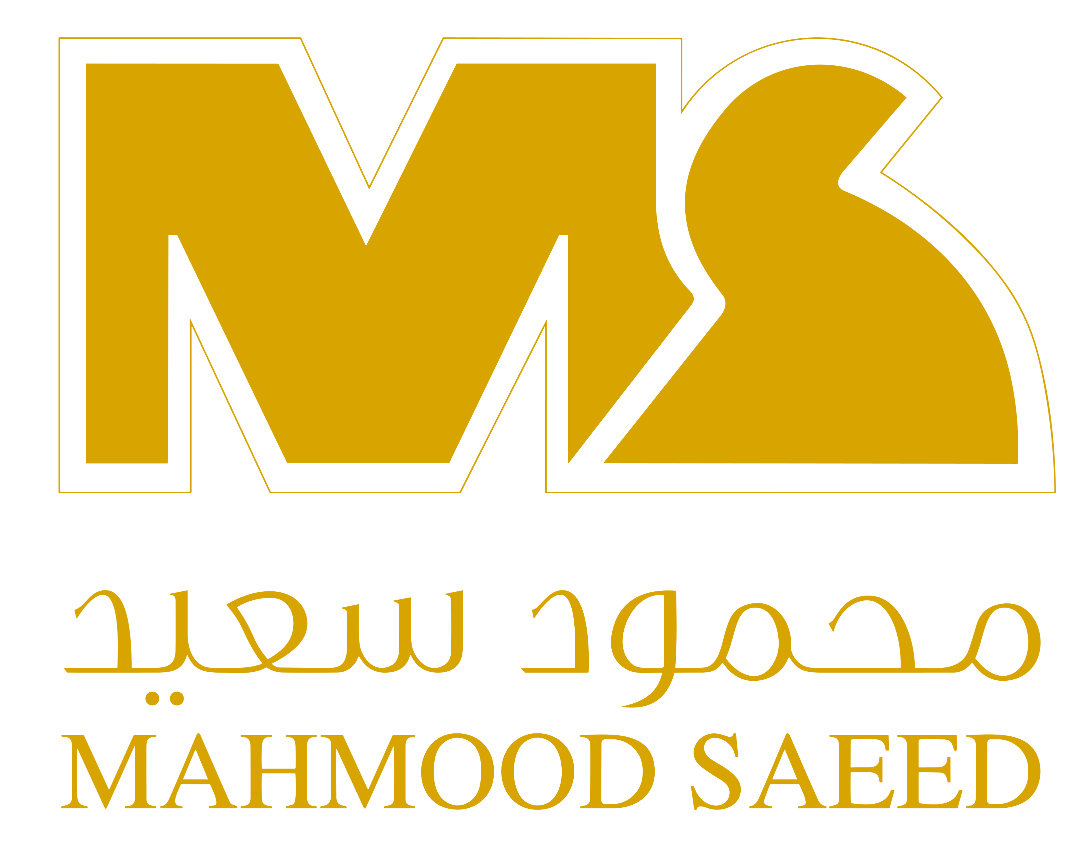 Mahmoud Saeed