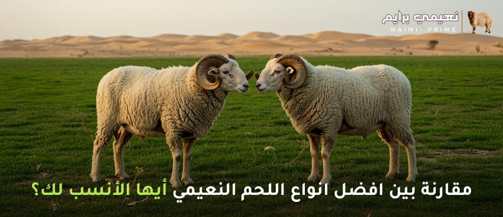 مقارنة بين افضل انواع اللحم النعيمي أيها الأنسب لك؟
