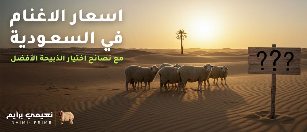 اسعار الاغنام في السعودية مع نصائح اختيار الذبيحة الأفضل