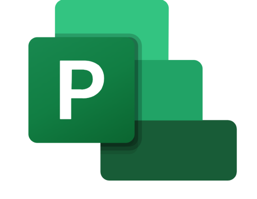 Ms project