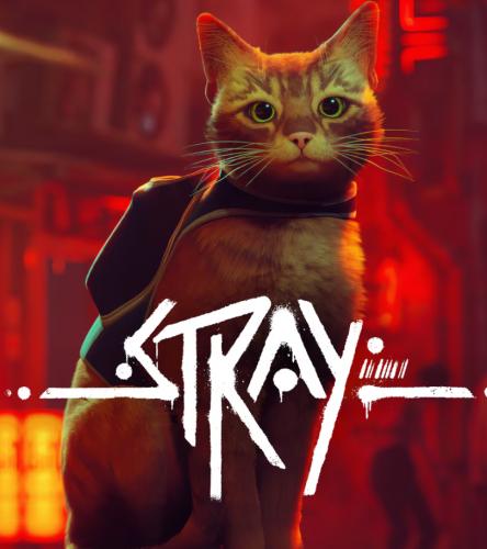 ‏Stray