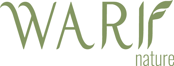store avatar