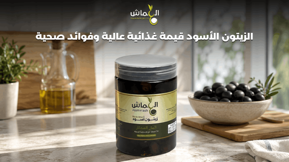 الزيتون الأسود قيمة غذائية عالية وفوائد صحية