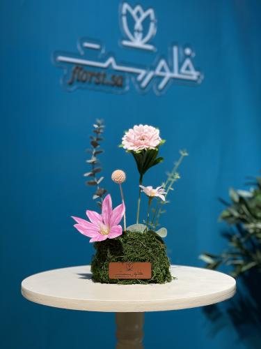 توزيعات عشب