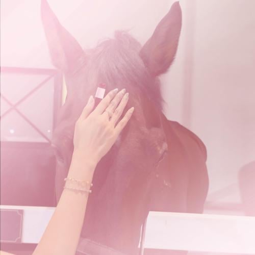 خيل ولب قلوس (20 يونيو)
