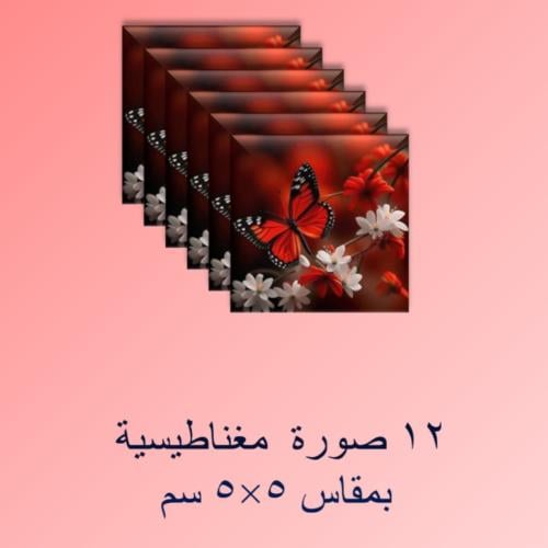 12 صور مغناطيسية مربعة