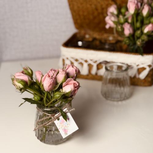 توزيعات العيد14