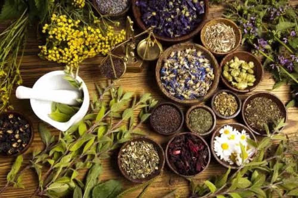 أعشاب للقلق والتوتر