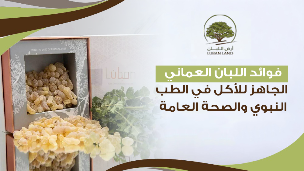 فوائد اللبان العماني الجاهز للأكل في الطب النبوي والصحة العامة