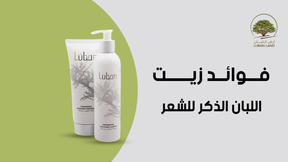 فوائد زيت اللبان الذكر للشعر