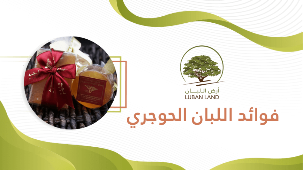 تعرف علي أهمية  فوائد اللبان الحوجري