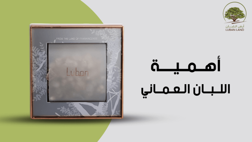 أهمية اللبان العماني لفوائد صحية