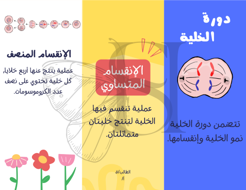 مطويات علوم الترم الاول كاملة