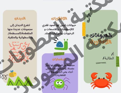 مطوية علوم صف رابع الحيوانات اللافقارية الترم الأو...