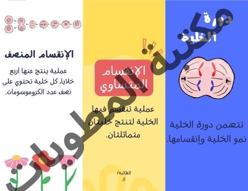 مطوية علوم دورة الخلية صف سادس الترم الأول