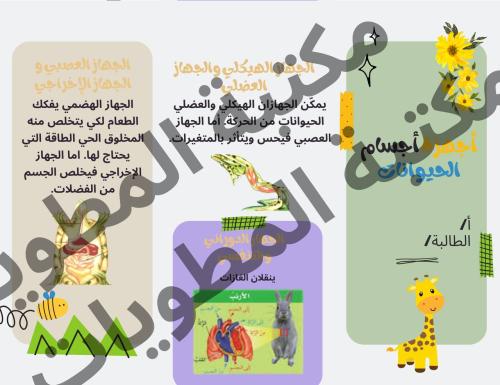 مطوية علوم صف رابع أجهزة أجسام الحيوانات الترم الأ...