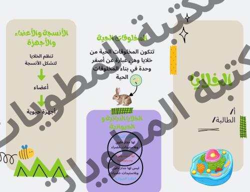 مطوية علوم صف رابع الخلايا الترم الأول