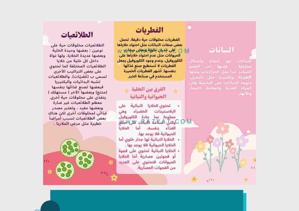 مطوية تصنيف المخلوقات الحية