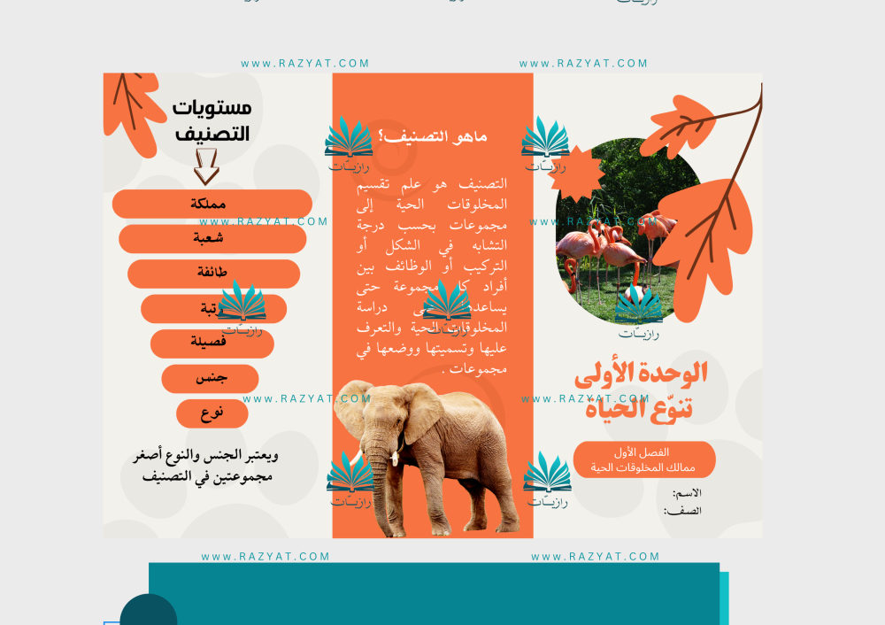 مطوية ممالك المخلوقات الحية