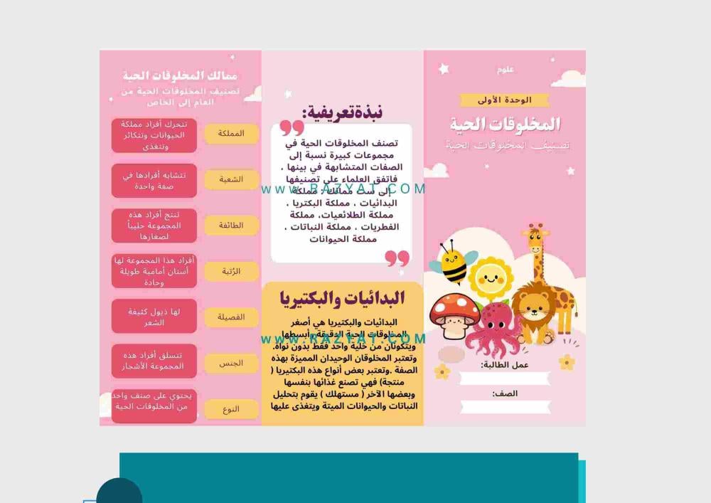 مطوية تصنيف المخلوقات الحية