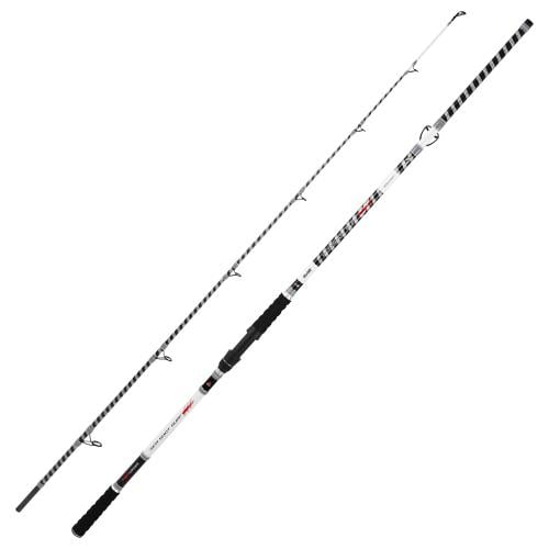 SHIMANO TWIN POWER SW SW 8000 HG - longbreath