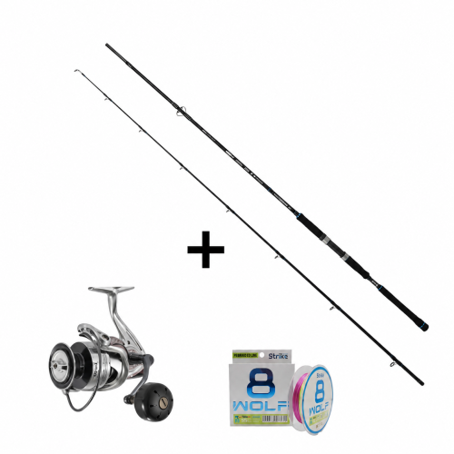 SHIMANO TWIN POWER SW SW 8000 HG - longbreath