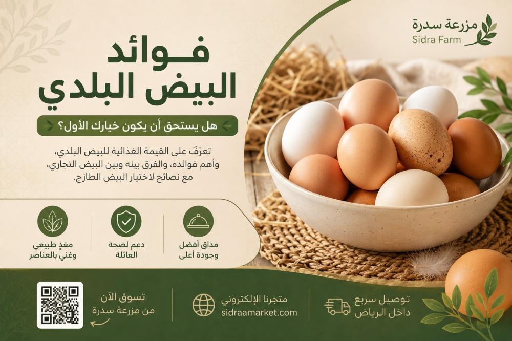 فوائد البيض البلدي وقيمته الغذائية والفرق بينه وبين البيض التجاري | مز