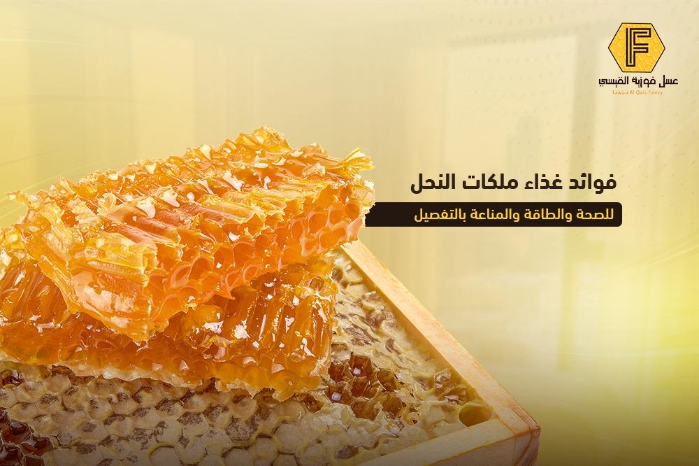 فوائد غذاء ملكات النحل للصحة والطاقة والمناعة