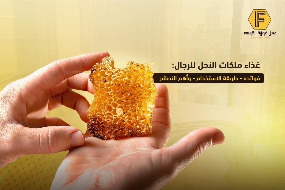 غذاء ملكات النحل للرجال: فوائده، طريقة الاستخدام، وأهم النصائح