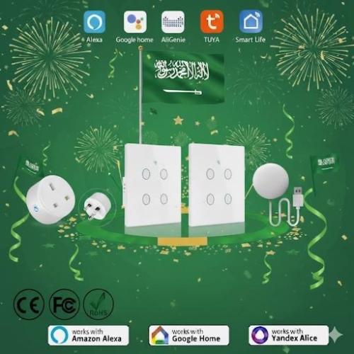🇸🇦💚عرض اليوم الوطني 95 🇸🇦💚 ابيض