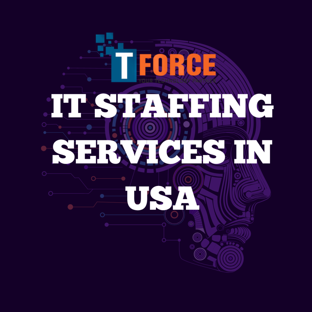 it staffing services in usa