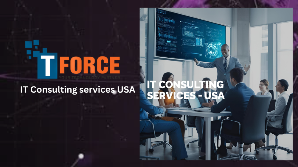 IT Consulting services USA