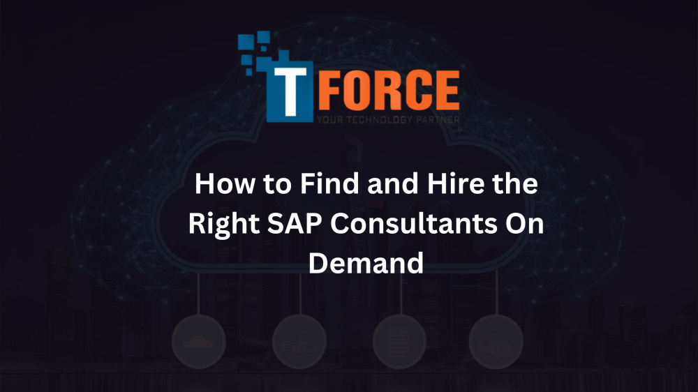 SAP Consultants for Hire USA