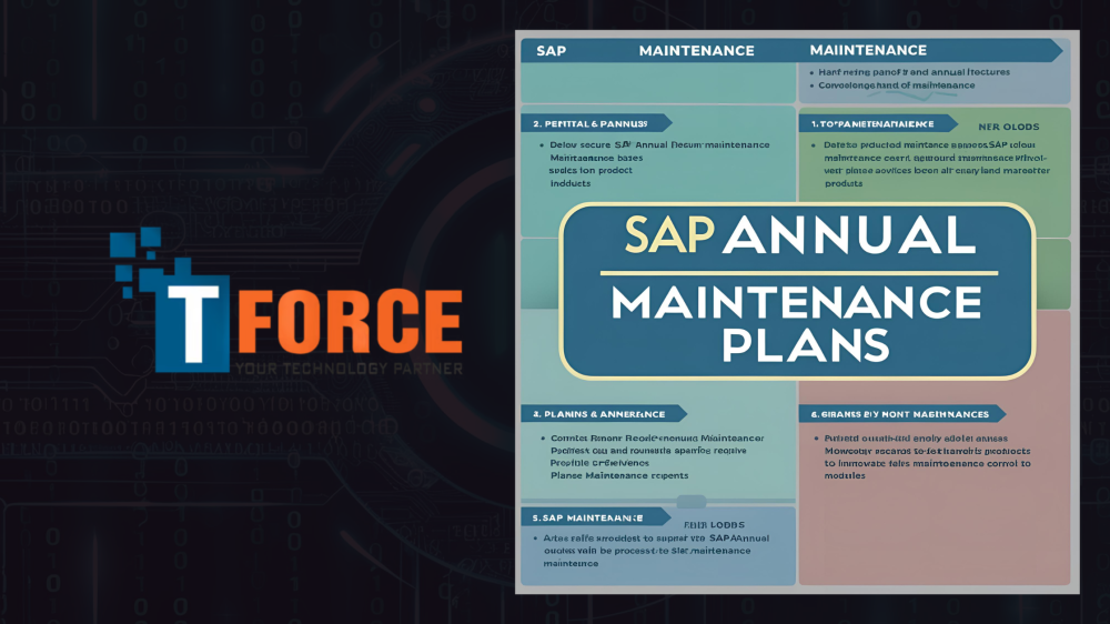 Why Your Business Needs an Annual SAP Maintenance Plan