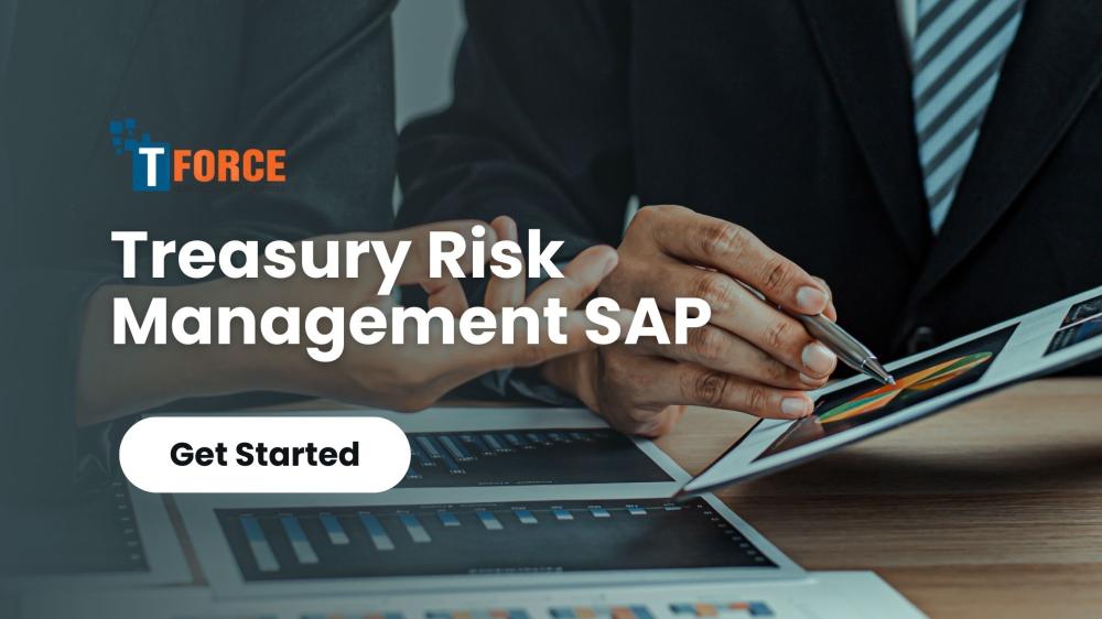 Treasury Risk Management SAP