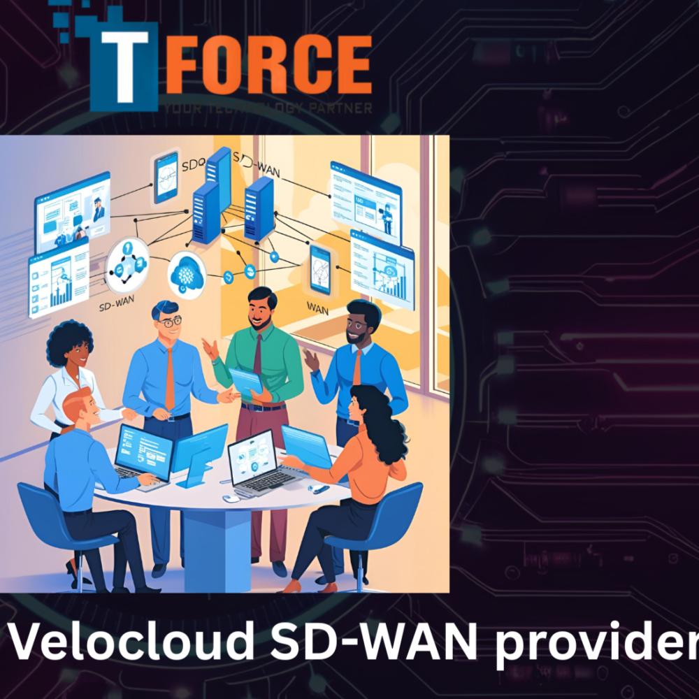 Arista Velocloud SD-WAN providers in the USA
