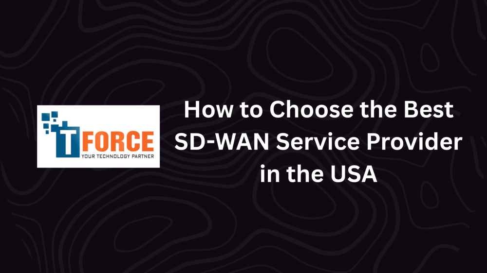 best SD-WAN service provider in the USA