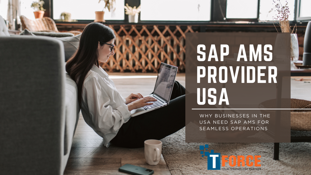 SAP AMS Provider USA