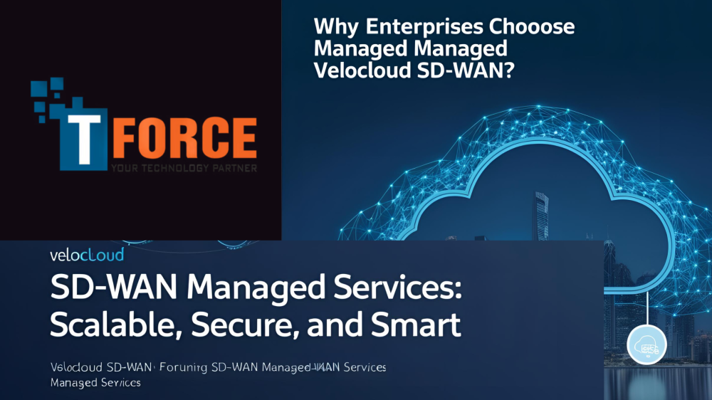 Velocloud SD-WAN managed services